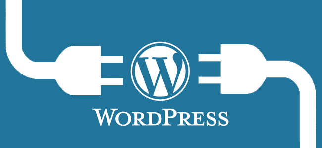 Wordpress     -  8