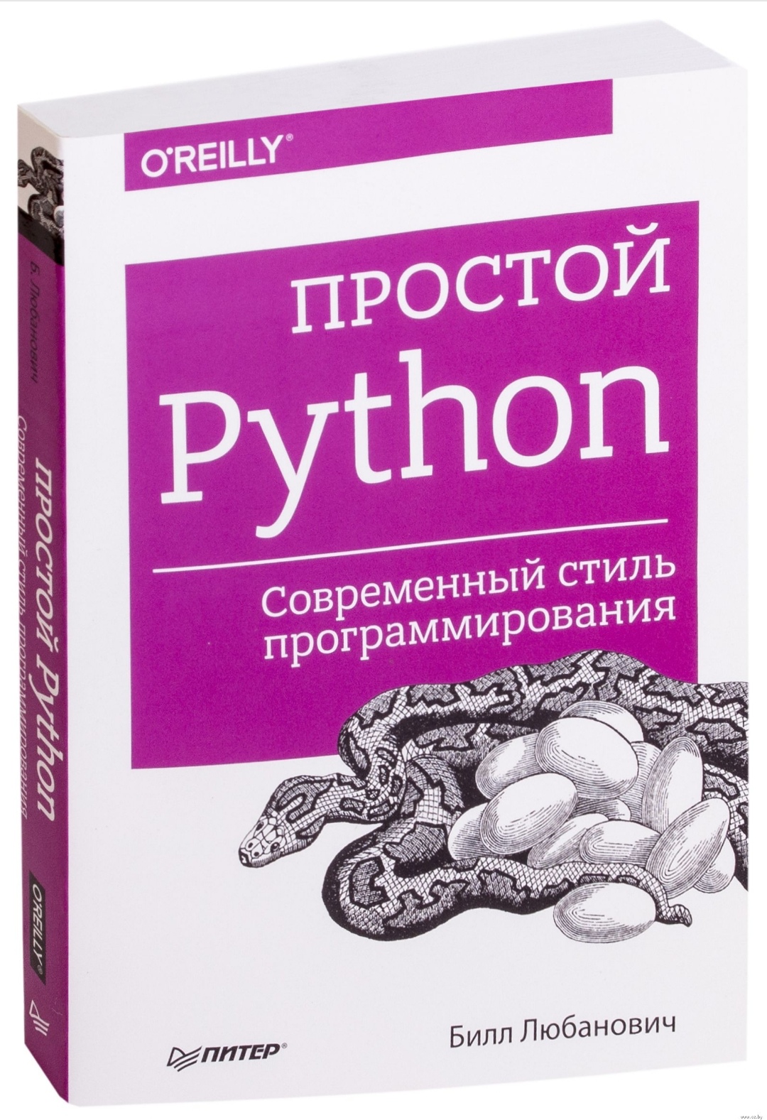 Питон книга программирование. Питон программирование. Лучшие книги по Python. Книги для изучени еpyhton. Программирование на питон книга.