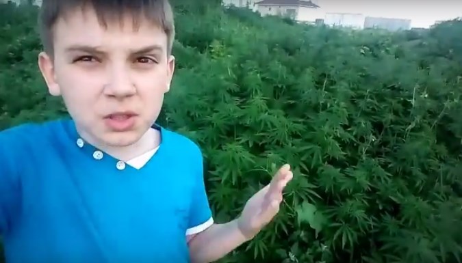 марихуана пацан фильм