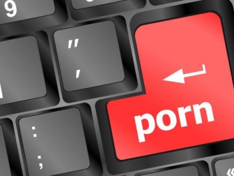 За распространение порно в Беларуси в 2016 осудили 340 человек